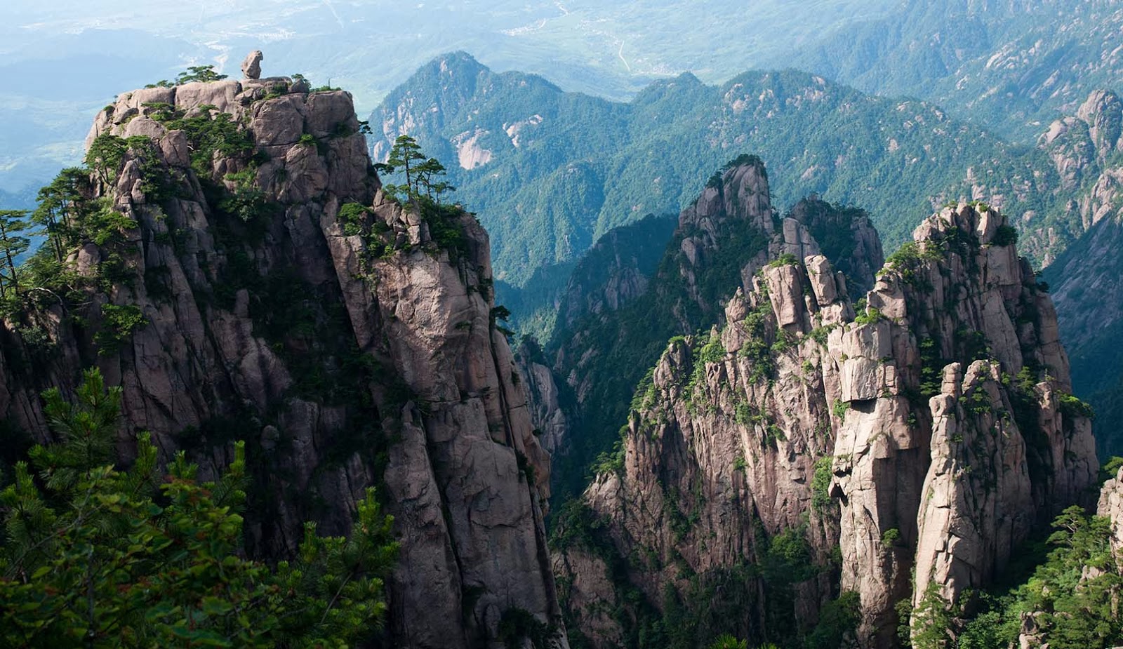 Opiniones de Montes Huang