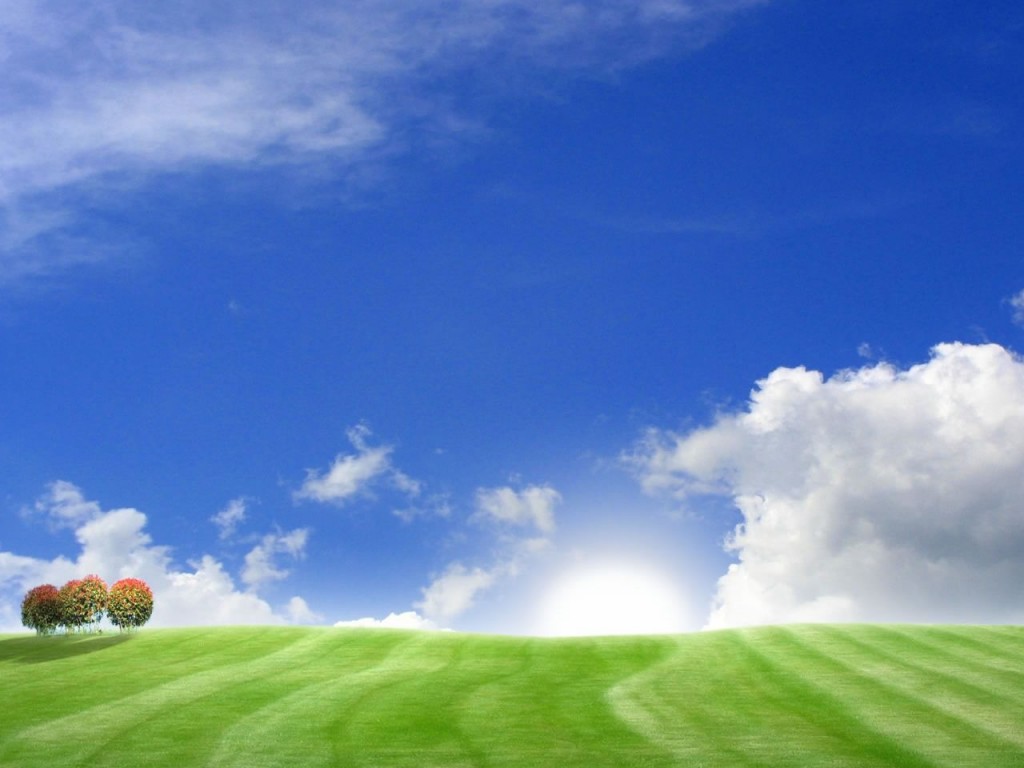 http://1.bp.blogspot.com/-xezzmzXHqNU/Tjgbgm29QfI/AAAAAAAAI6E/HEBCusjCMXw/s1600/Best+GOOD+MORNING+Wallpapers+4.jpg