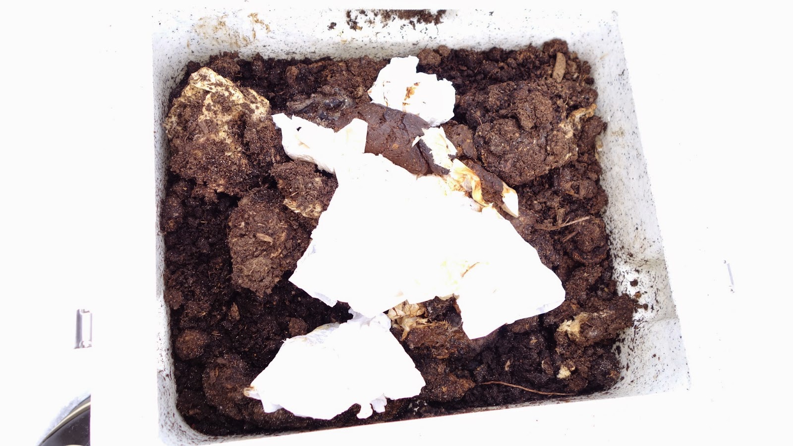 Fy Nyth... Composting toilet emptying the solids