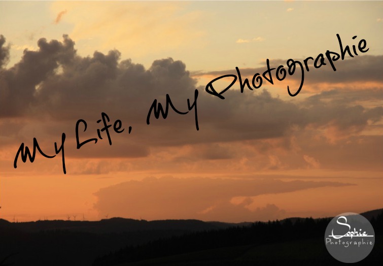 My Life, My Photographie...