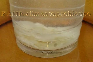 Kefir Alimento Probiótico