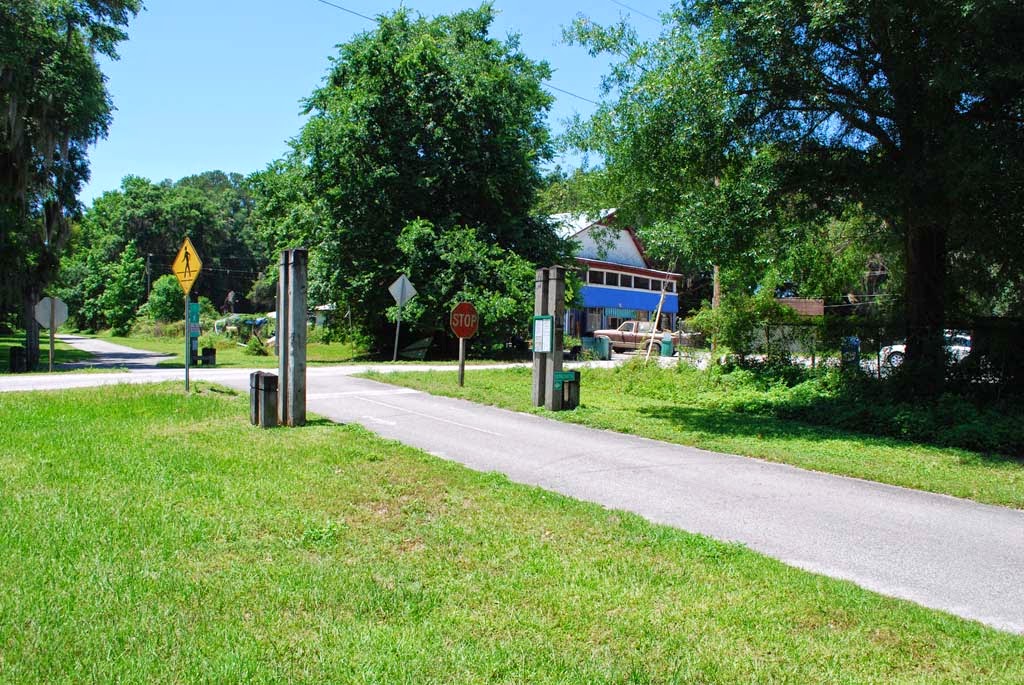 Space Coast Wildflowers Withlacoochee State Trail Redbuds, May 6, 2014