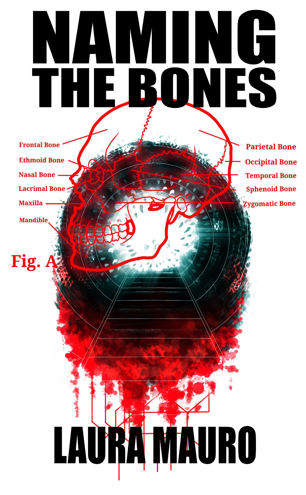 Naming the Bones: Dark Minds Novella 5