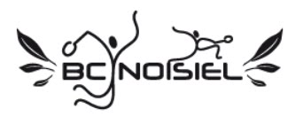 Badminton Club de Noisiel