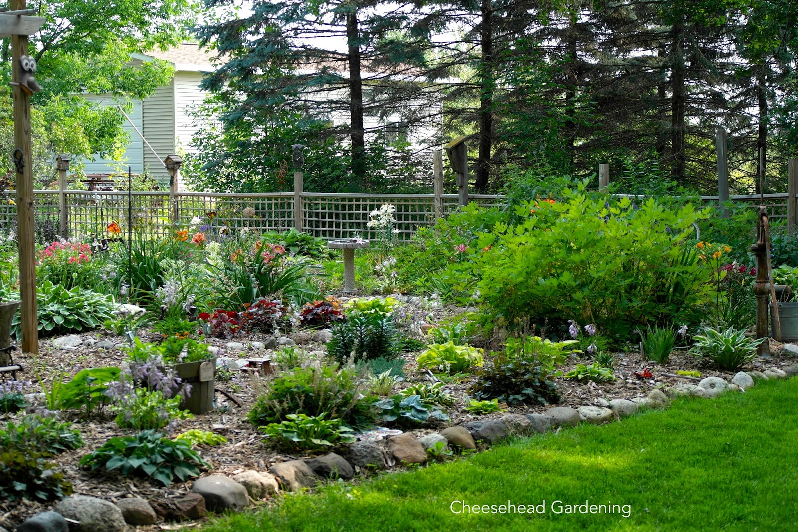 Cheesehead Gardening