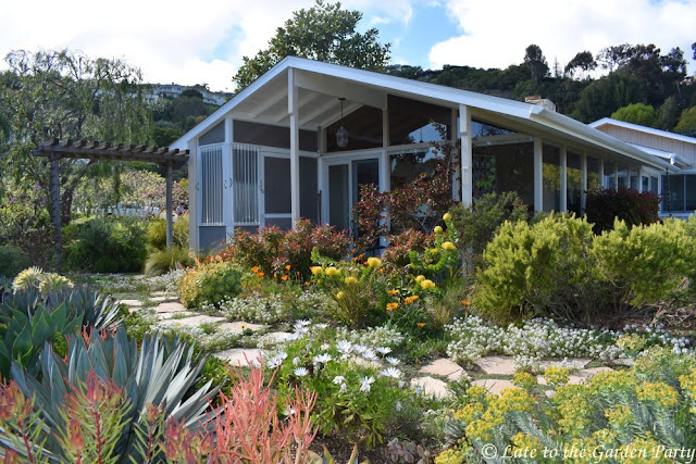 Urban Landscape Native Landscape Shrubs For Shade