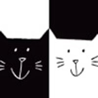 Il mostro sul comodino: Gatto nero, gatta bianca di Silvia Borando