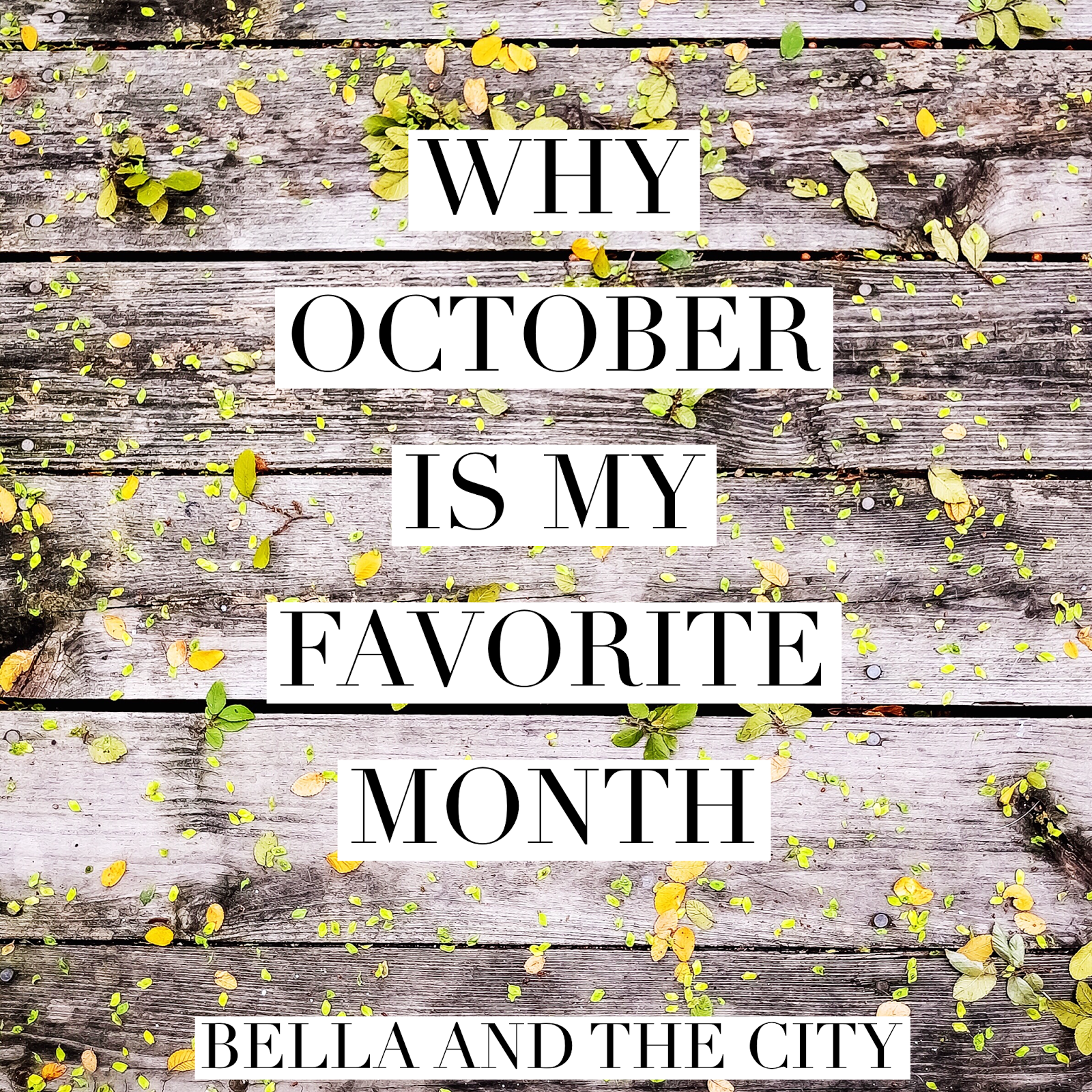 Why October is My Favorite Month - Bella And The City