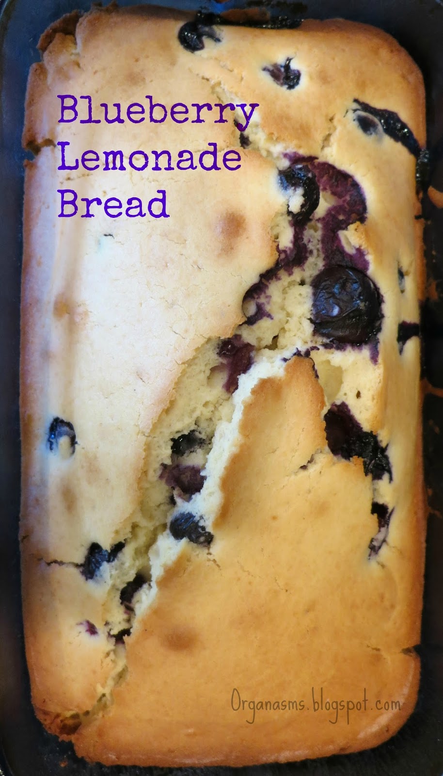 organasms Blueberry Lemonade Bread