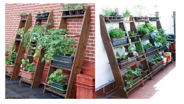 Cultivar un huerto urbano: Un huerto vertical para casa