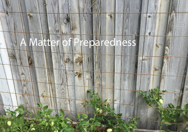 Gardening in a Drought, Vertical Gardening