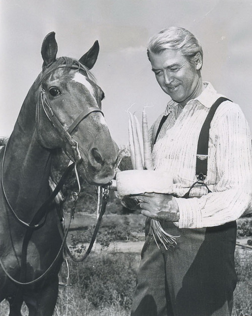 Jimmy Stewart and Pie, the horse he rode for 22 years Horse movies