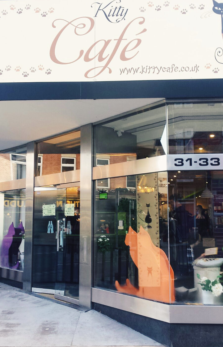 The Kitty Cafe Nottingham Collection Favourites