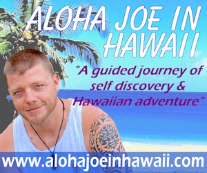 Aloha Joe