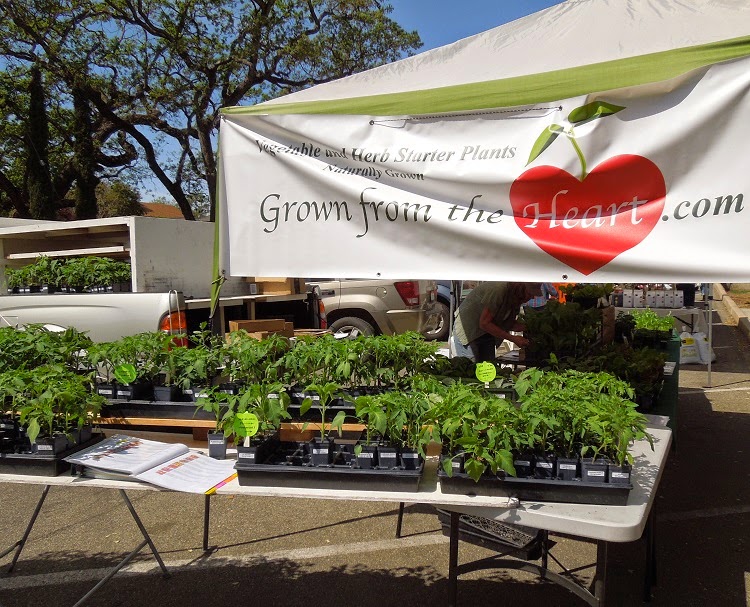 Paso Robles in Photos Templeton Farmers Market March 21