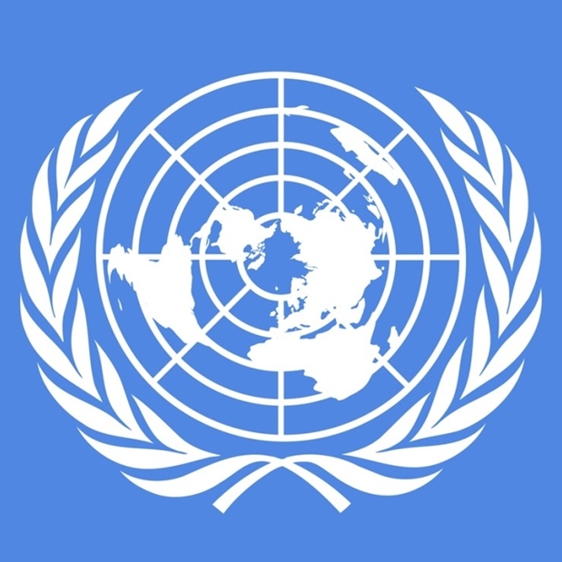 UN system