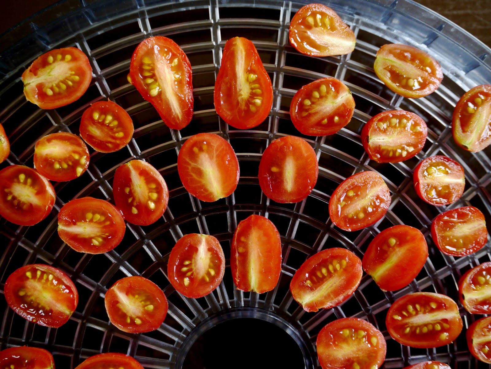 Less Noise, More Green Dehydrating tomatoes