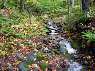 Running streams on the Monroe Trail in Camel's Hump State Park