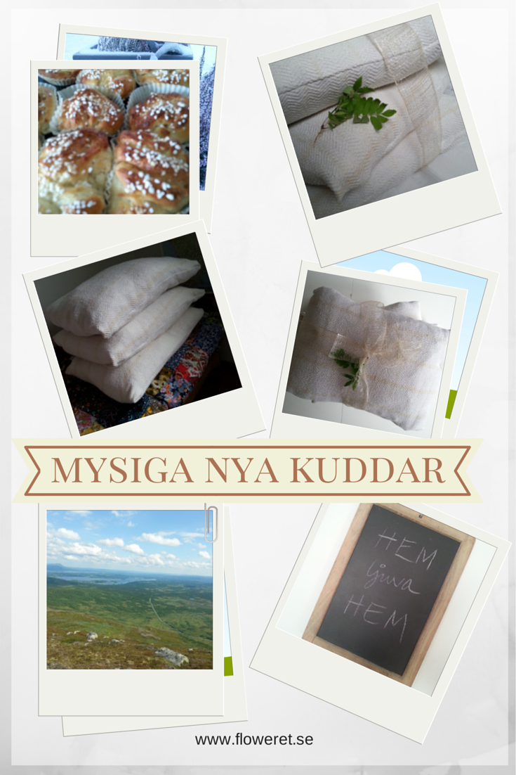 Tre kuddar av en filt - DIY Mysiganyakuddar