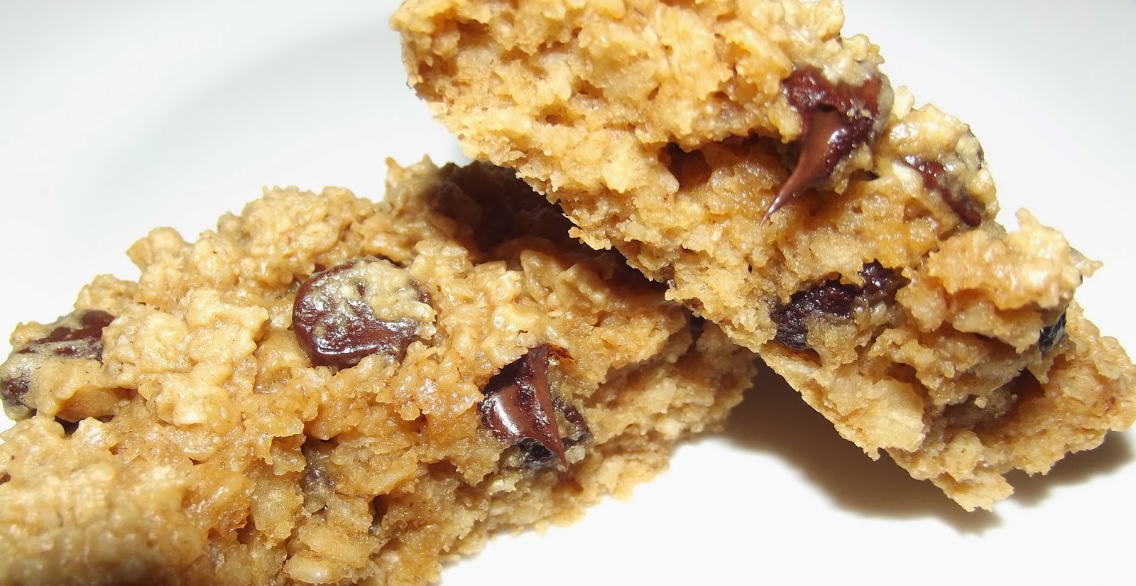 The D's and the Dogs Foodie Friday! Peanut Butter Oatmeal Breakfast Cookies