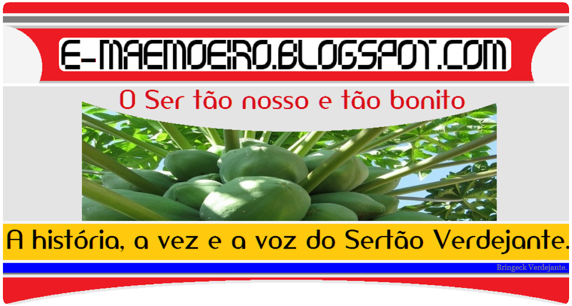        e-maemoeiro.blogspot.com