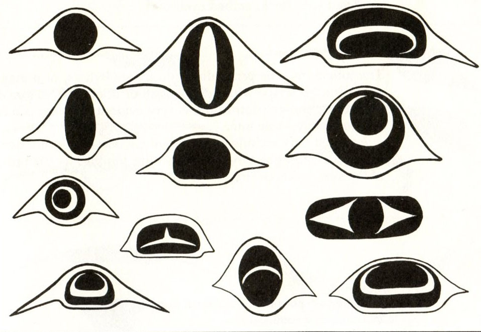 Appreciating Art: Pacific Northwest Coast Art--Haida Masks