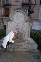 Fuente Tipica de Girona