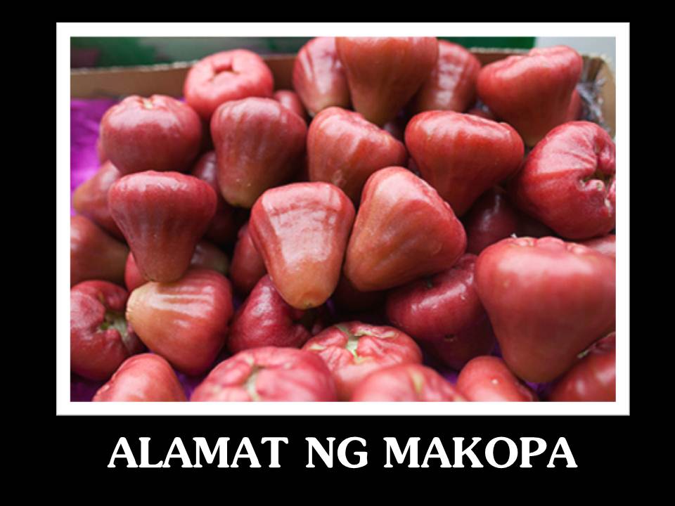Alamat ng Makopa ~ My Philippines