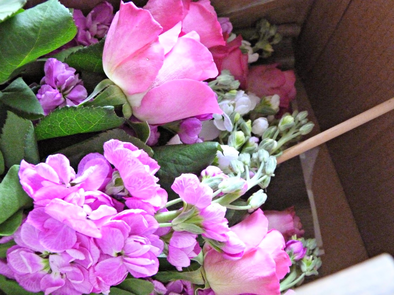 Given To Distracting Others Serenata Flowers Giveaway.