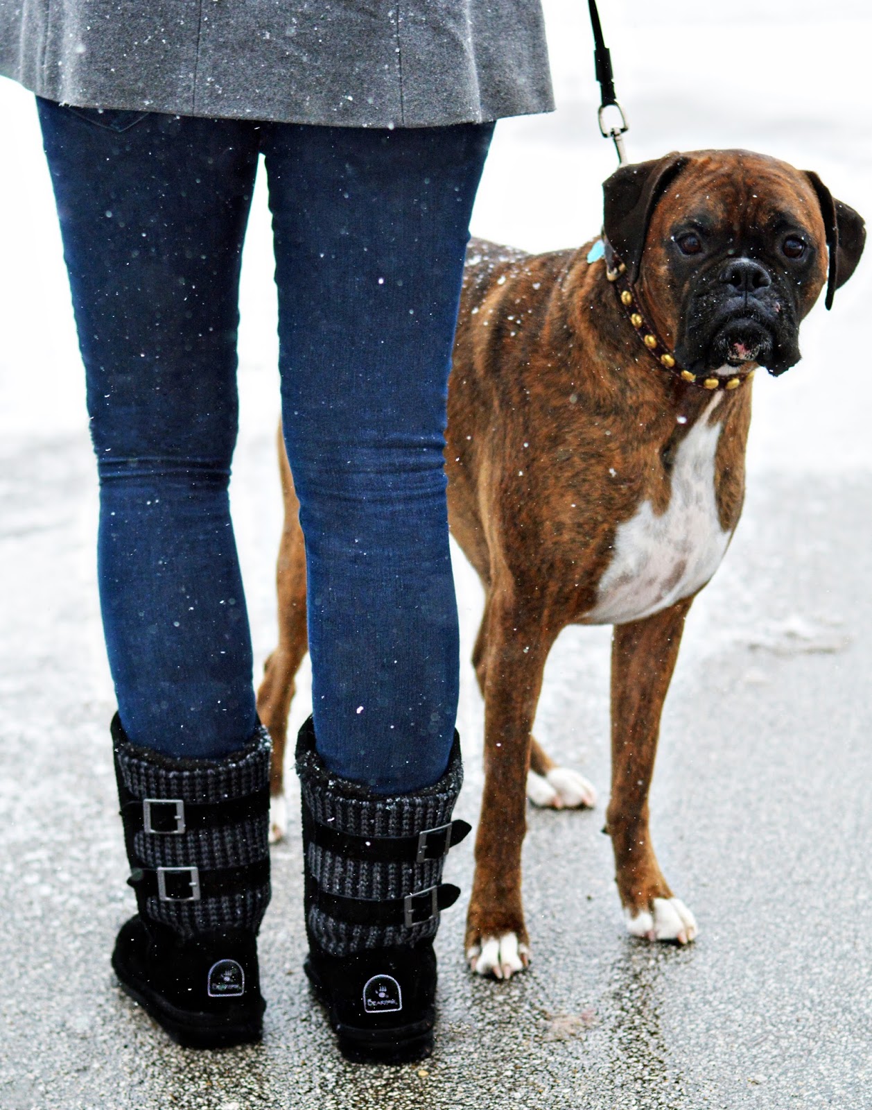 Theresa's Mixed Nuts Boots & Boxers ohsofamous