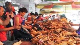  Έλεος! Ανοίγει ο δρόμος για σκυλίσιο κρέας στα σούπερ μάρκετ της Ελλάδας 