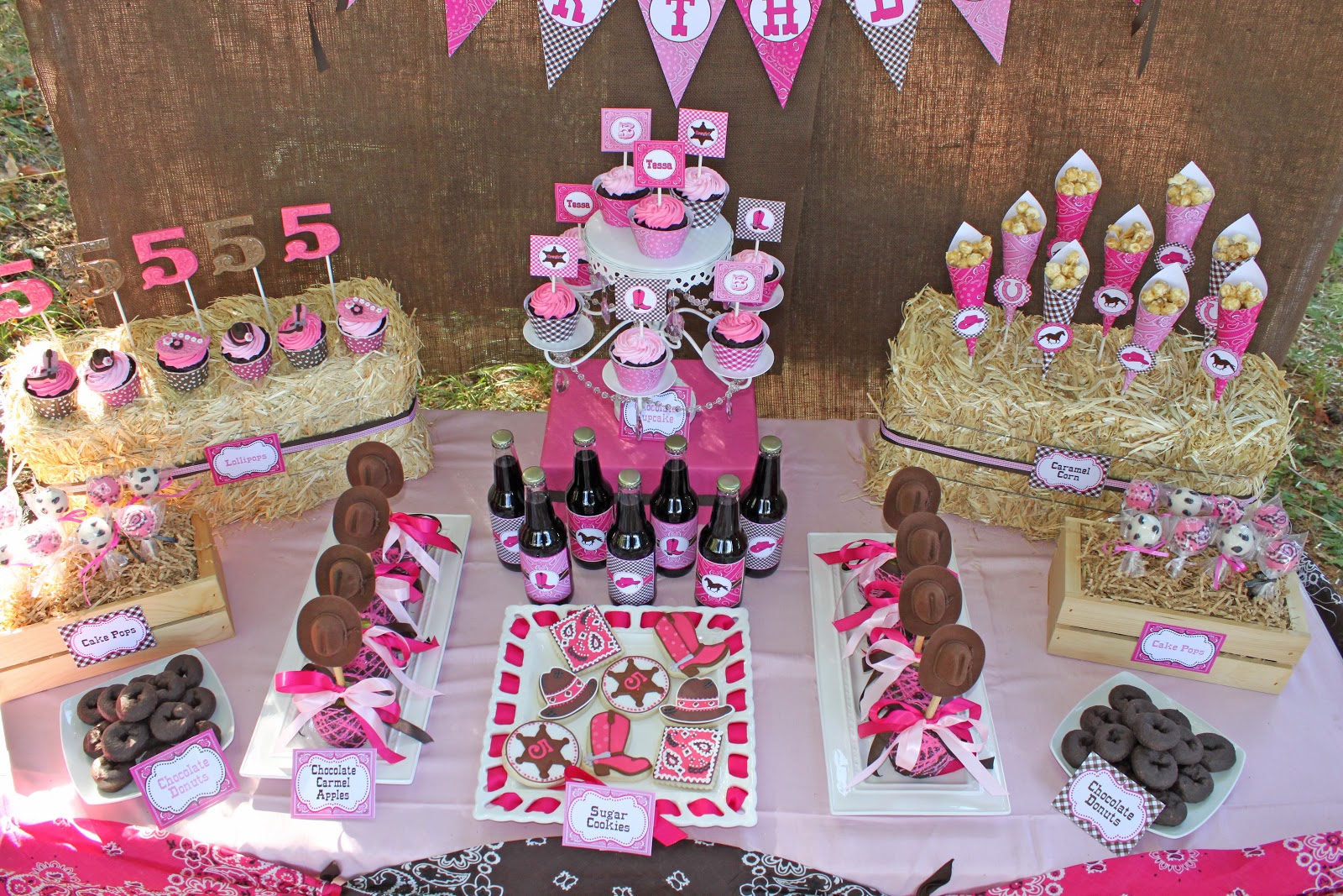 Cupcake Express Tessa's Cowgirl Birthday Party