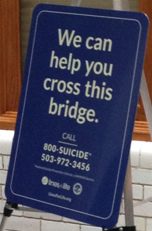 Vista Bridge Suicide Name