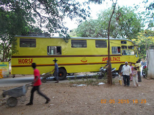 Race horses transported in "Horse Vans" .