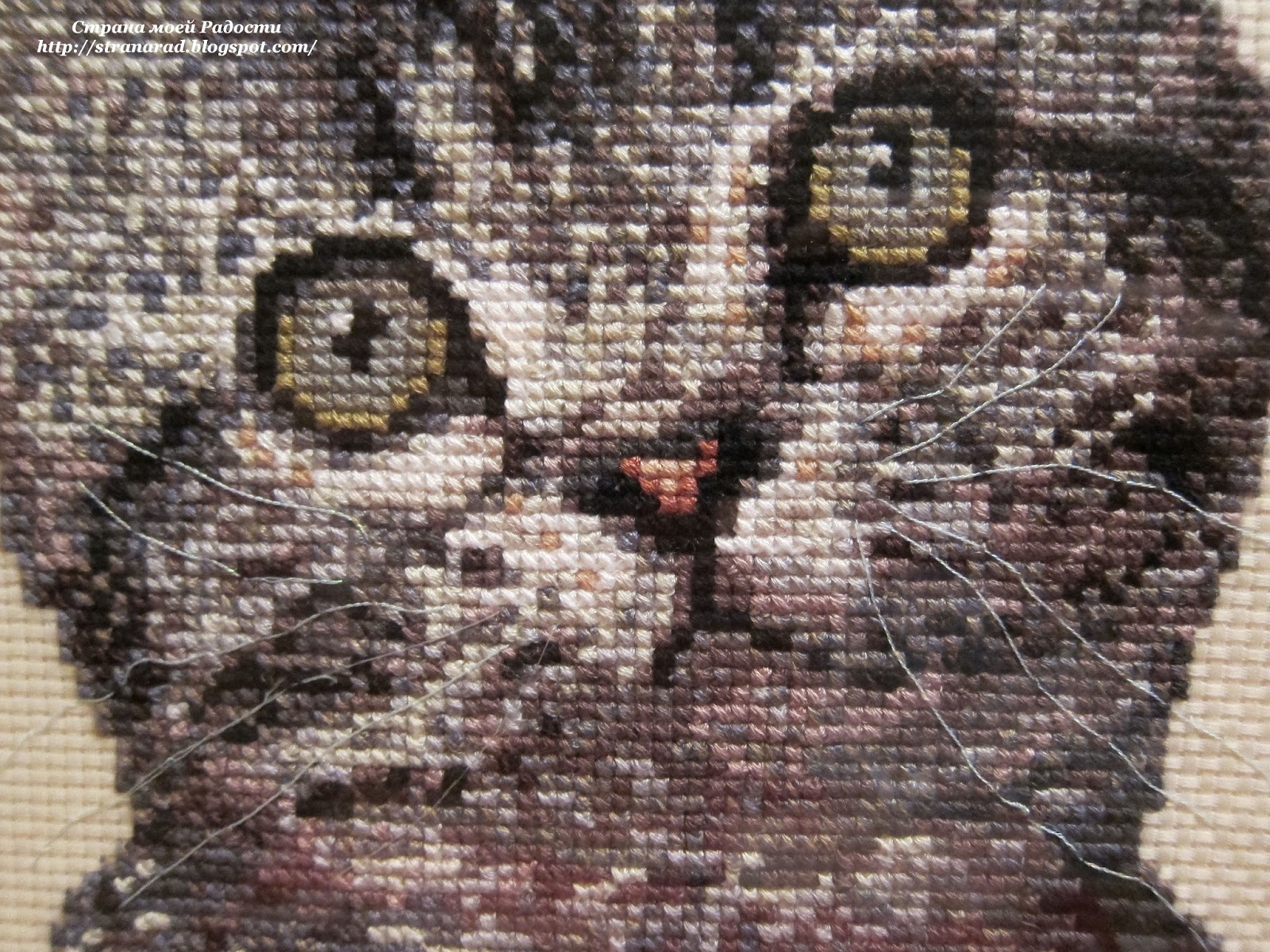 кошка-вышивка крестом