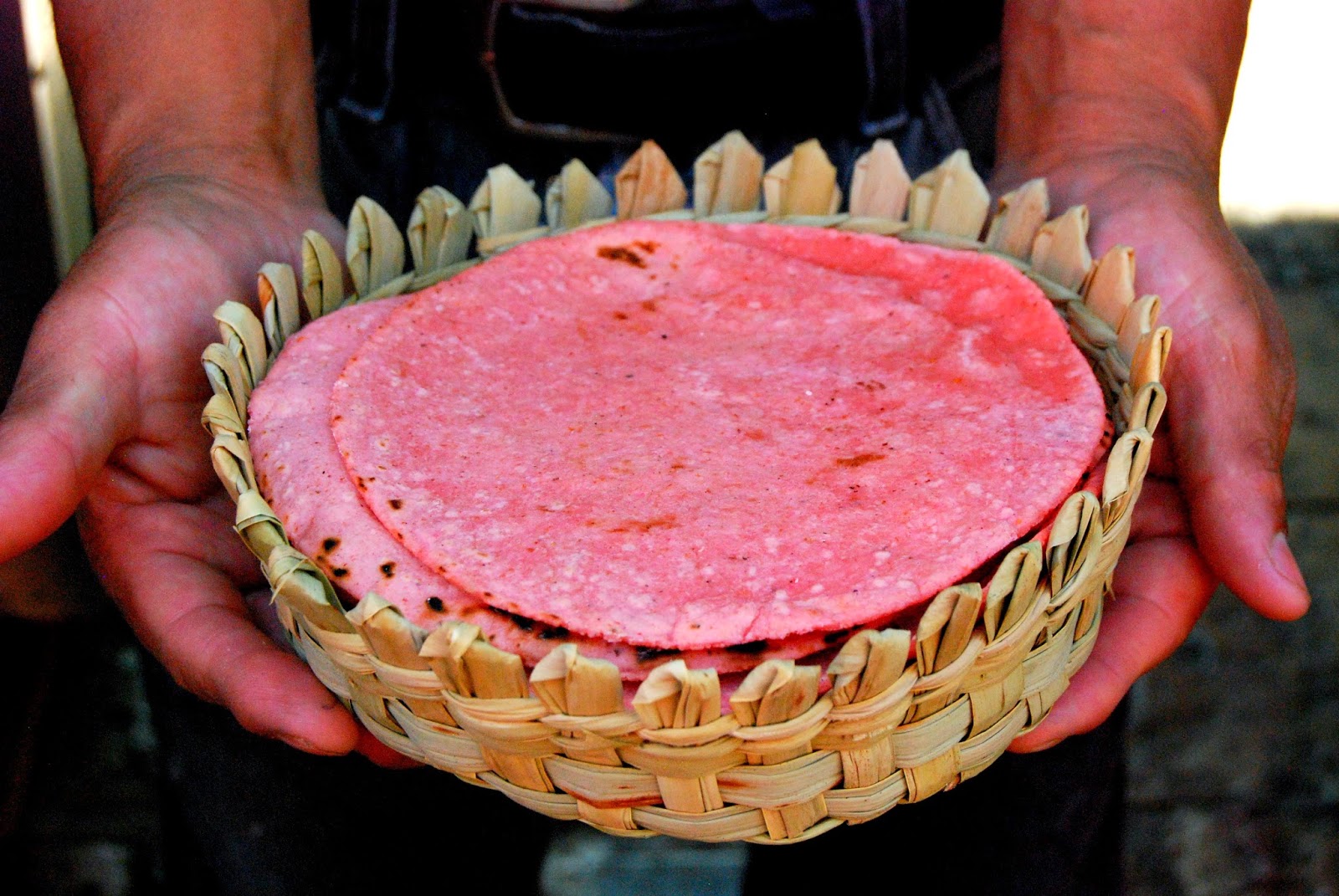 CupCakes and CrabLegs Vanessa and the Rosa Tortillas