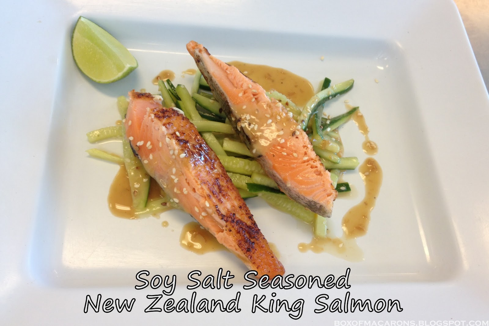 Box of Macarons Mariel's Food Diary New Zealand Cuisine