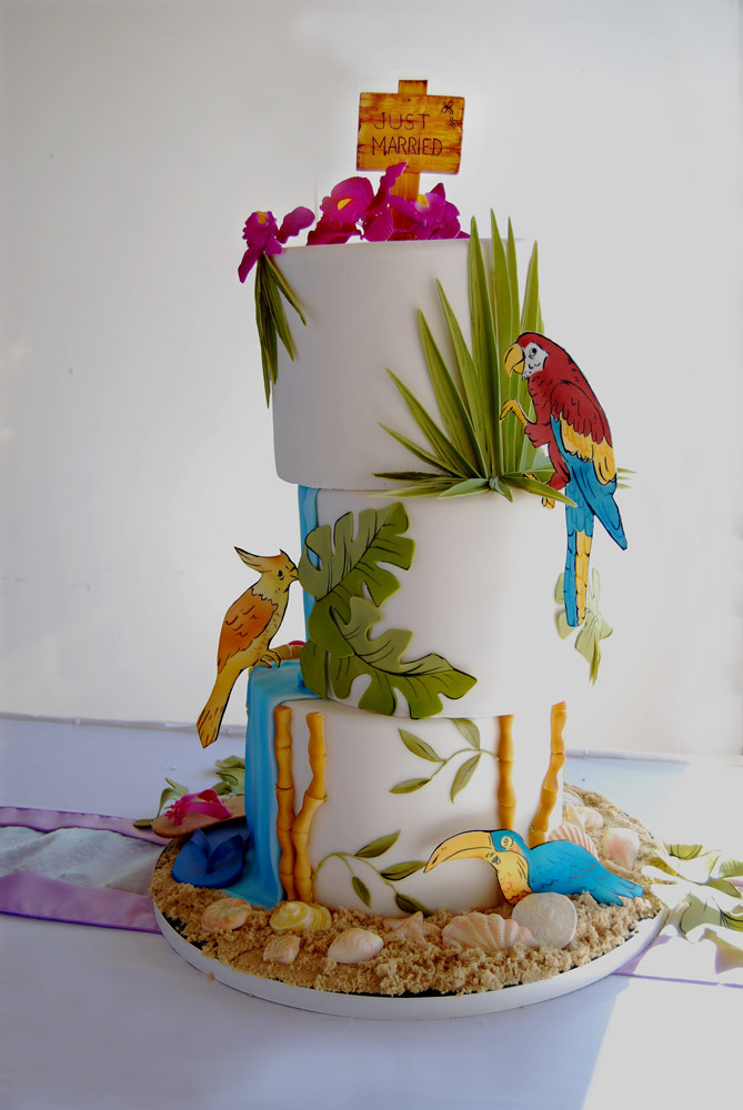 Gateaux S Cake Log Parrot Head
