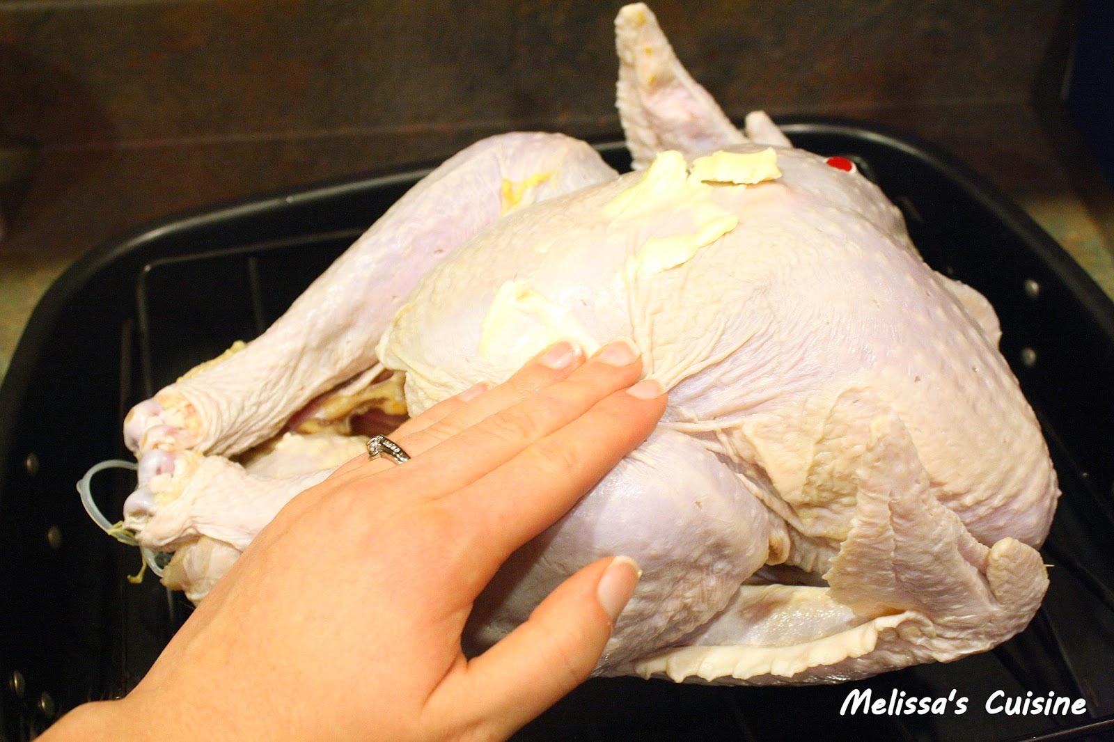 Melissa's Cuisine: The Perfect Thanksgiving Turkey