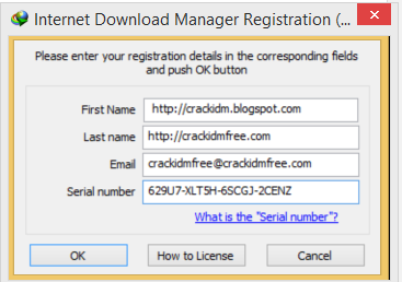 Internet Download Manager 5.14.1.0 serial key or number