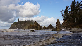 Kaiyote Tours Hoh Rain Forest