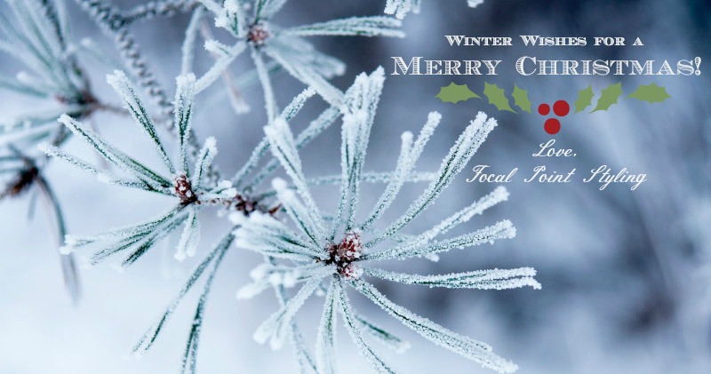 Merry christmas FOCAL POINT STYLING: December 2012