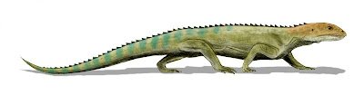 Mesosuchus