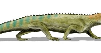 Escenarios prehistóricos Mesosuchus