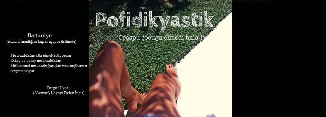 Pofidikyastik