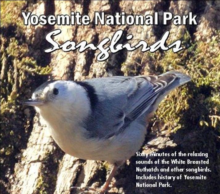 BEST BIRD SONG CD's Bird Song CD'sYOSEMITE N.P. SONGBIRDSWhite