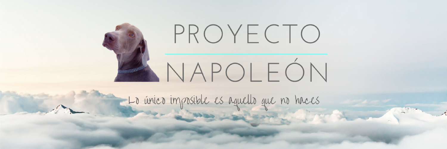 Proyecto Napoleón