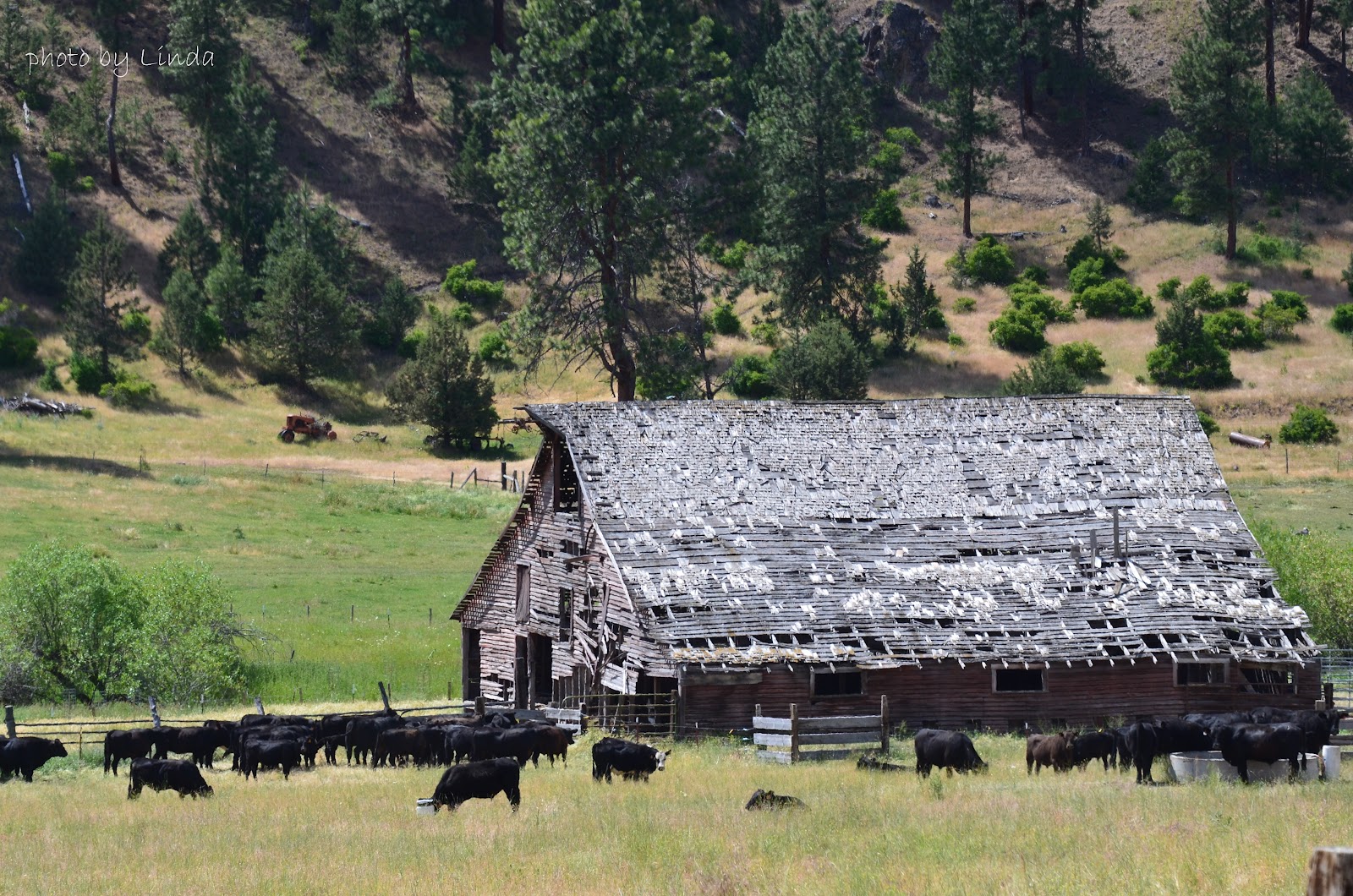 Oregon through my eyes Old Barns and homesteads