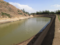 Local legend in Aksum says this is the pool built by the Queen of Sheba circa 1000 BC (Aksum)