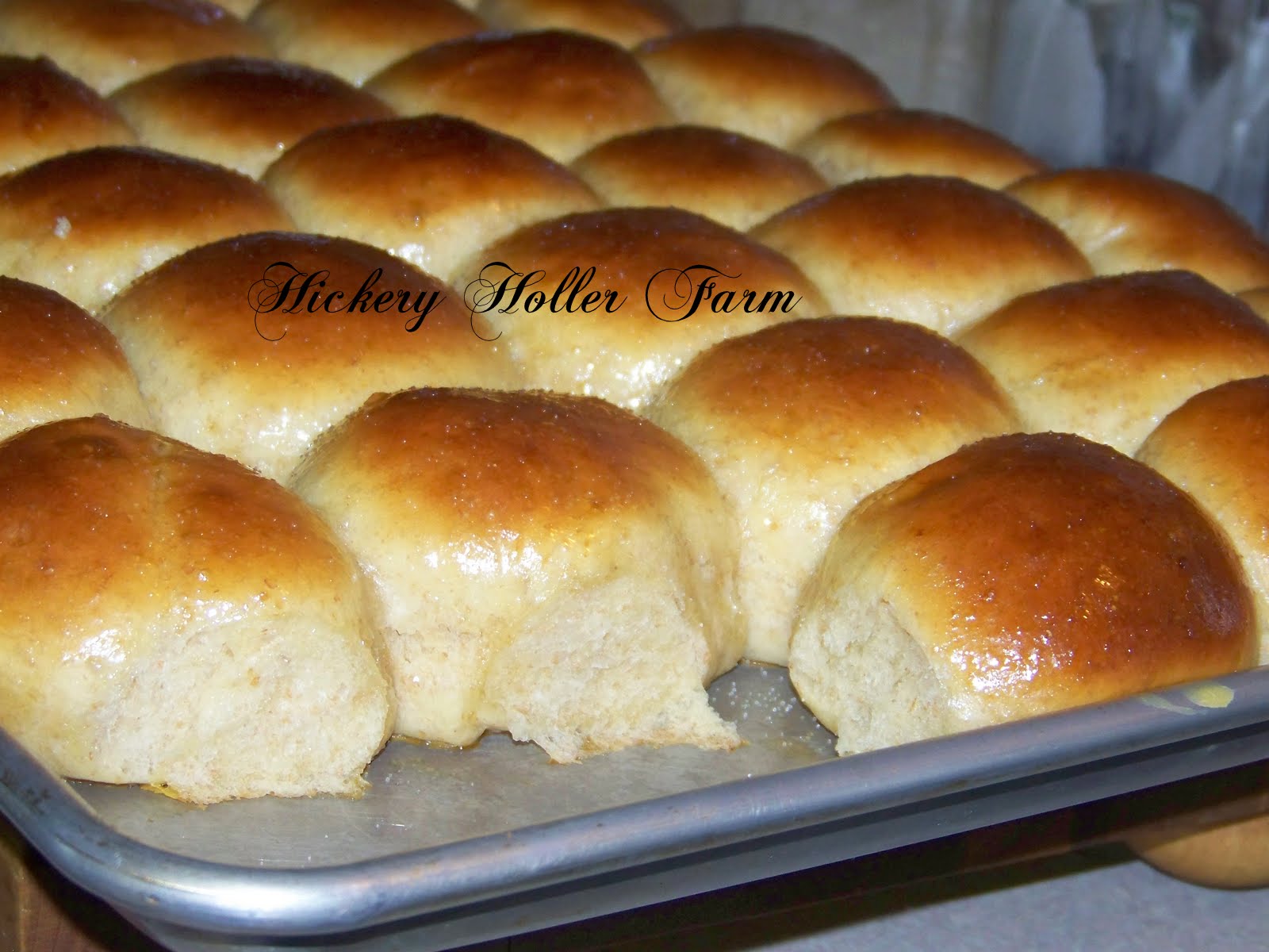 Hickery Holler Farm Baking Rolls